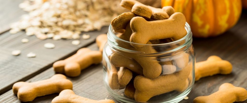 pumpkin biscuits for dogs